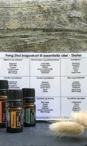 Essentielle olier | Feng Shui baguakort til essentielle olier